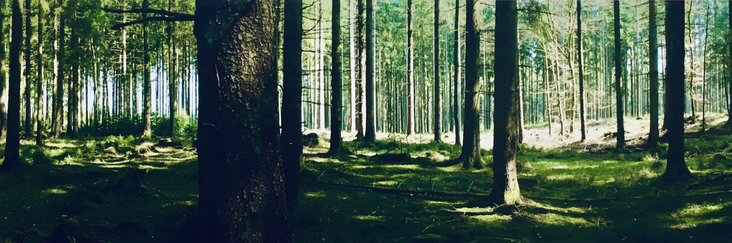 DavidDitchfield's profile banner image