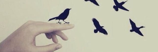 Mishary_9c's profile banner image
