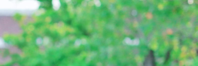 Winny_makeup's profile banner image
