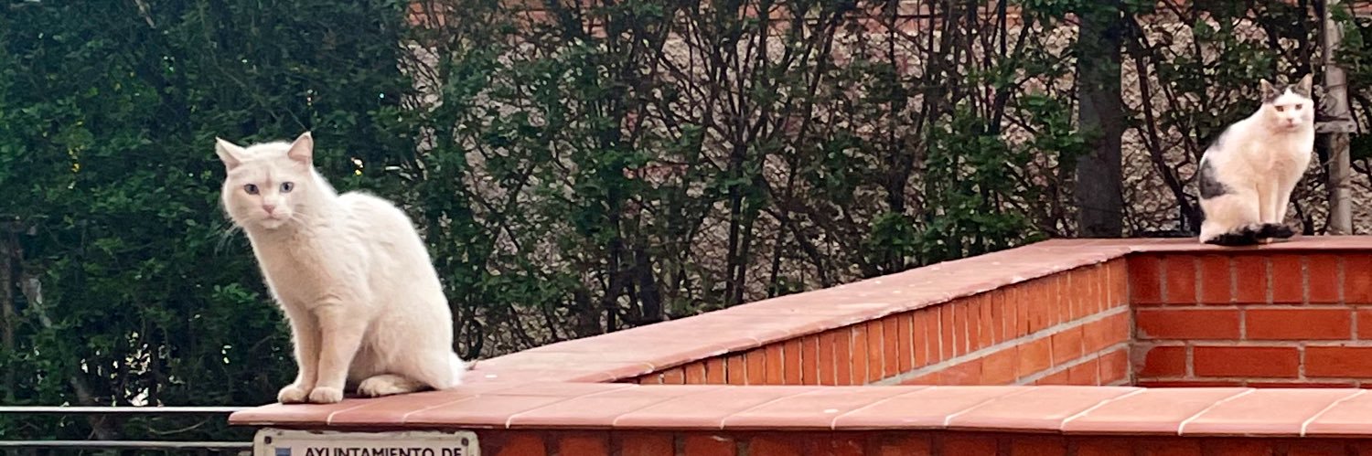 itsganxx's profile banner image