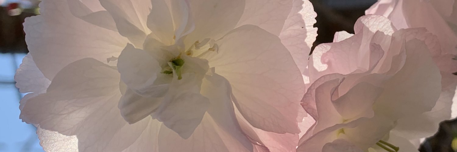 kazkidZ's profile banner image
