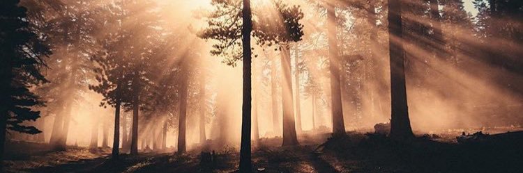 AlisaMurray18's profile banner image