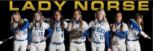 neosoftball's profile banner image