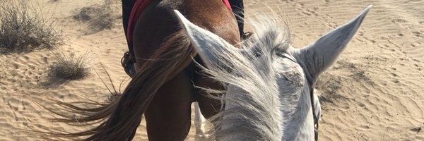 5st Profile Banner