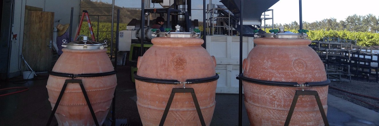 Sabrine M. Rodems banner