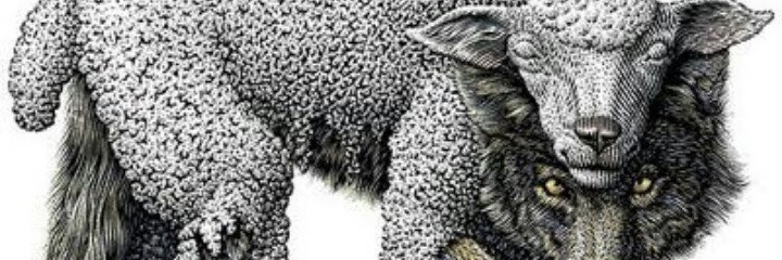 CryptoBushido's profile banner image