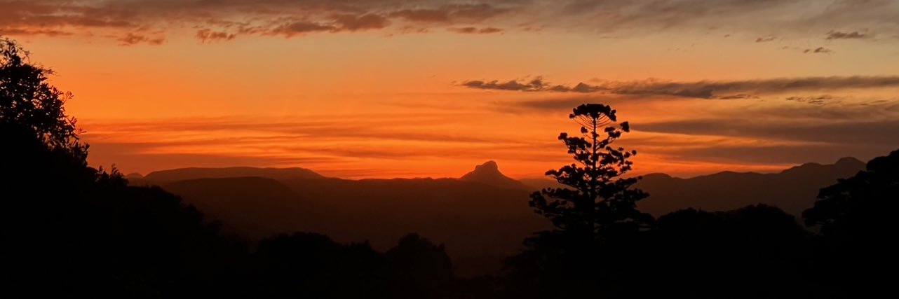 Debbie (Mauger) Pritchard 🇦🇺🙃☀️ banner