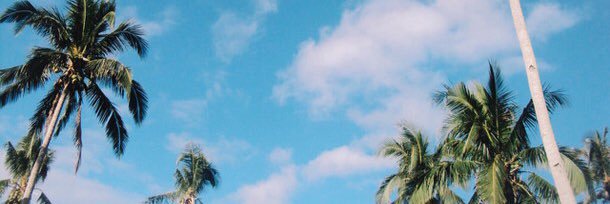 RecolitusMorbus's profile banner image