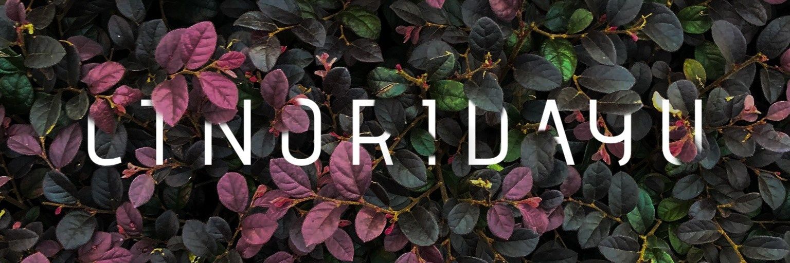 ctnoridayu's profile banner image