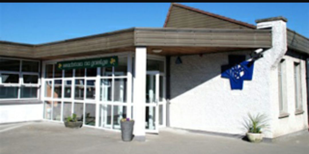 TY @ Scoil Dara banner