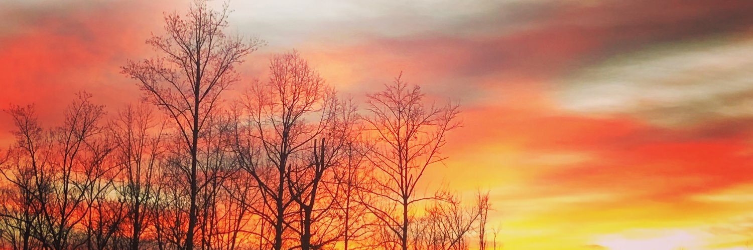 kermccoy's profile banner image