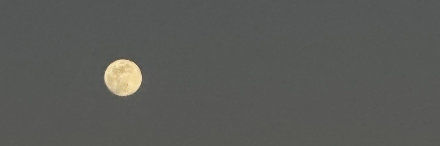 franfrezzaj08's profile banner image
