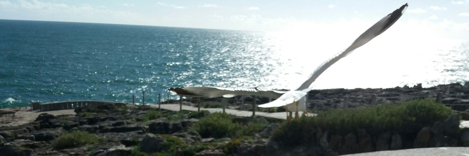 margarida3112's profile banner image