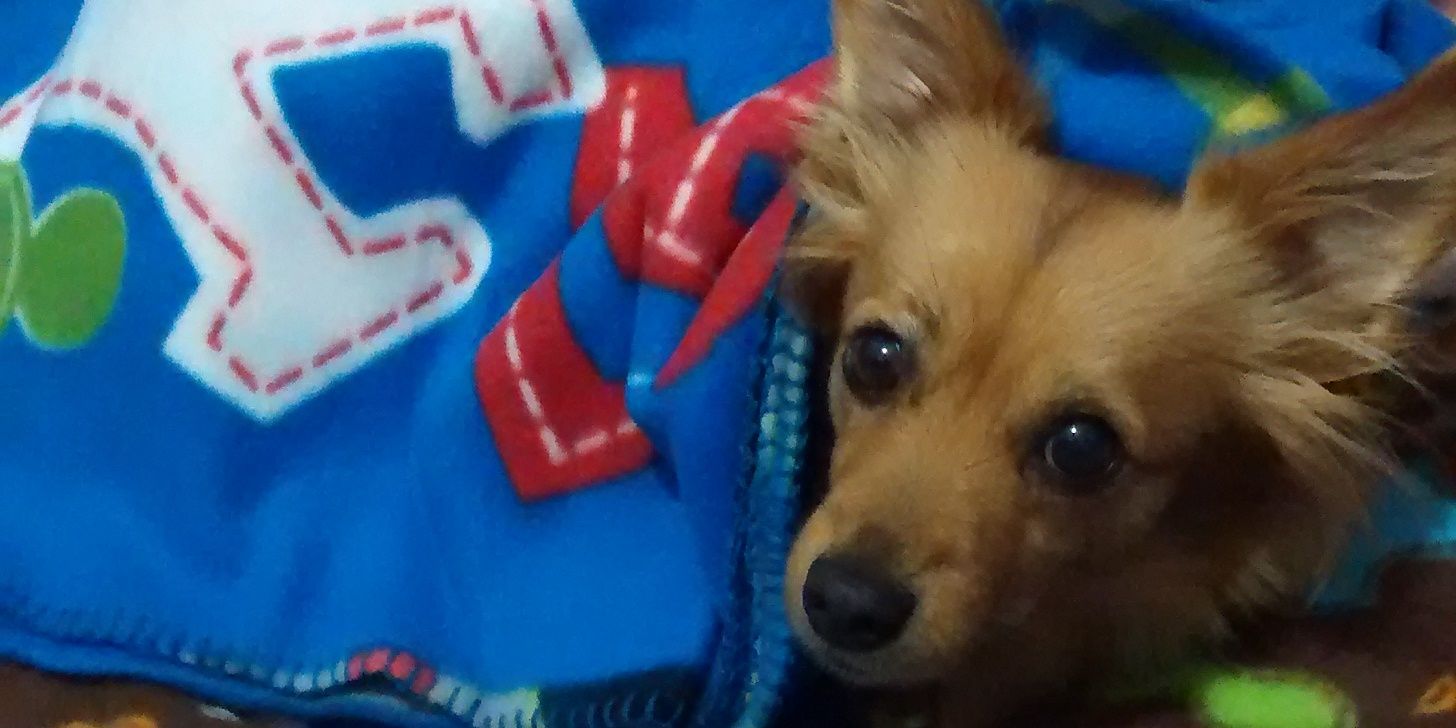 Ayoso92's profile banner image