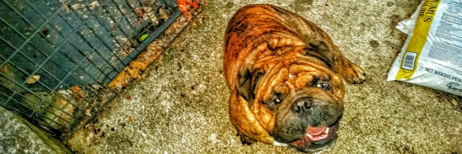 ThaRealGoucher's profile banner image