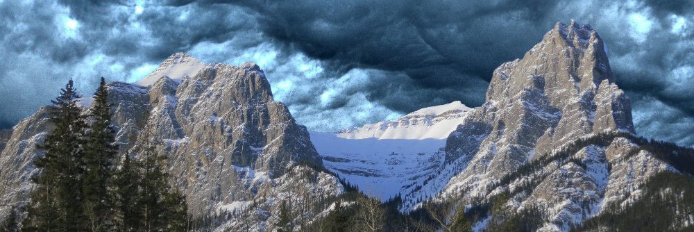 forevercapmem's profile banner image