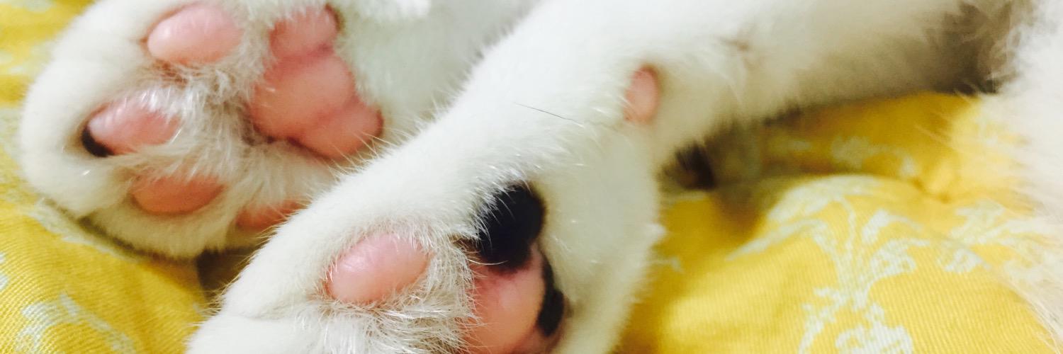 chgizz86's profile banner image