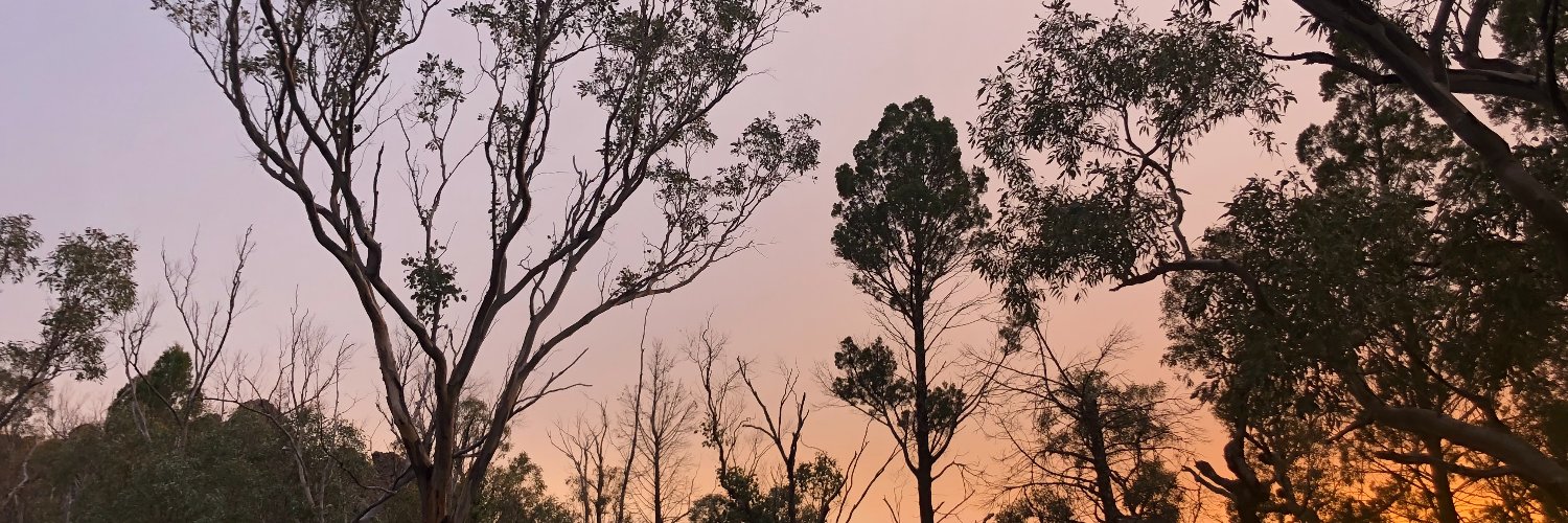 PoppyJohnston1's profile banner image