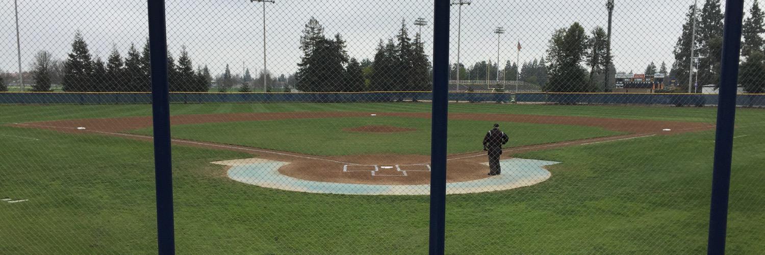 Blue Devils Baseball banner