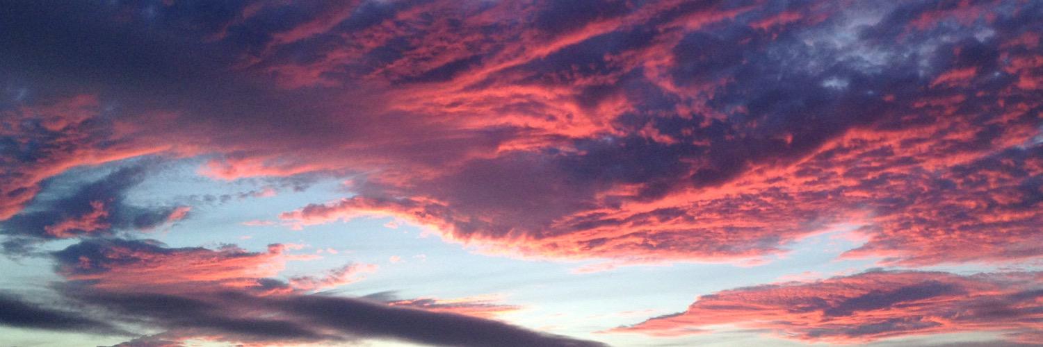 Aleksei Kiseliov banner