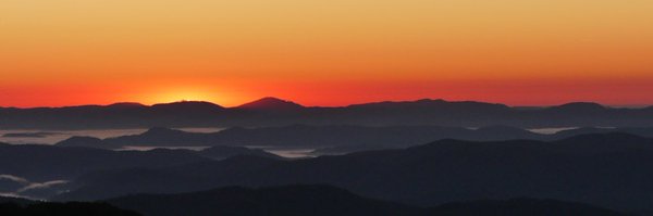 walker_sue Profile Banner