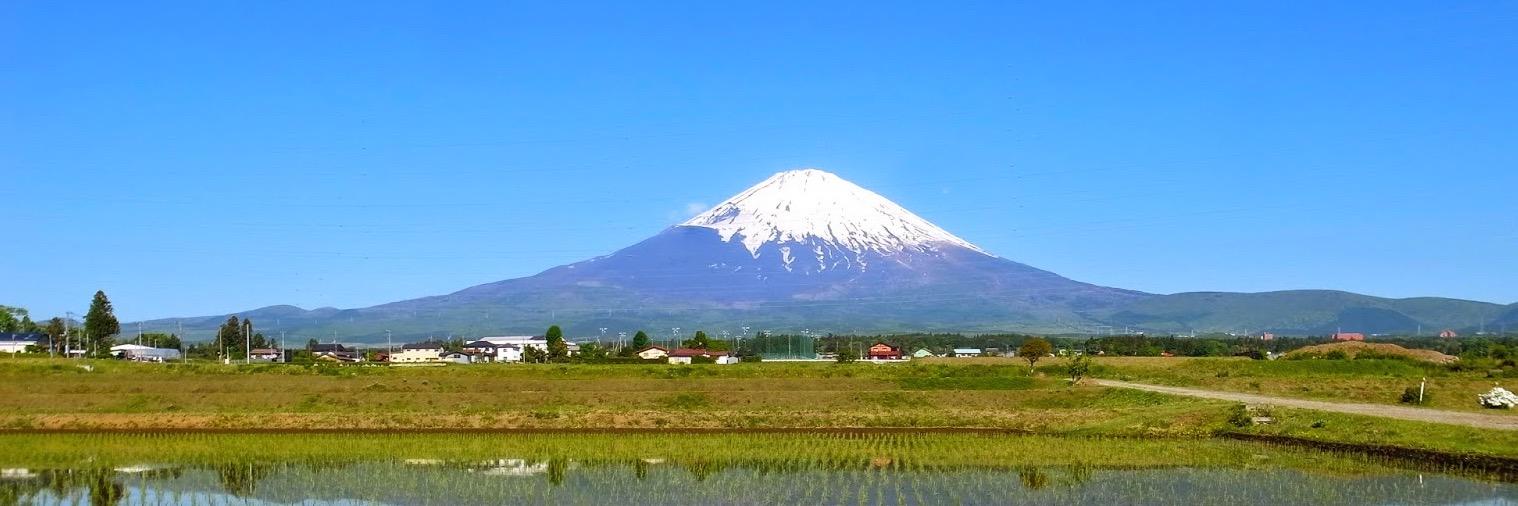 Michael Essenburg banner