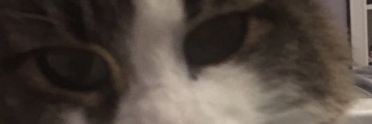 the_dewster96's profile banner image