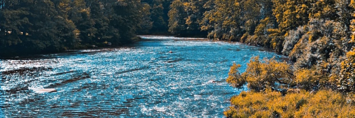 BonnetteNick's profile banner image