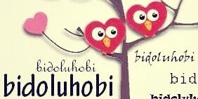 bidoluhobi's profile banner image
