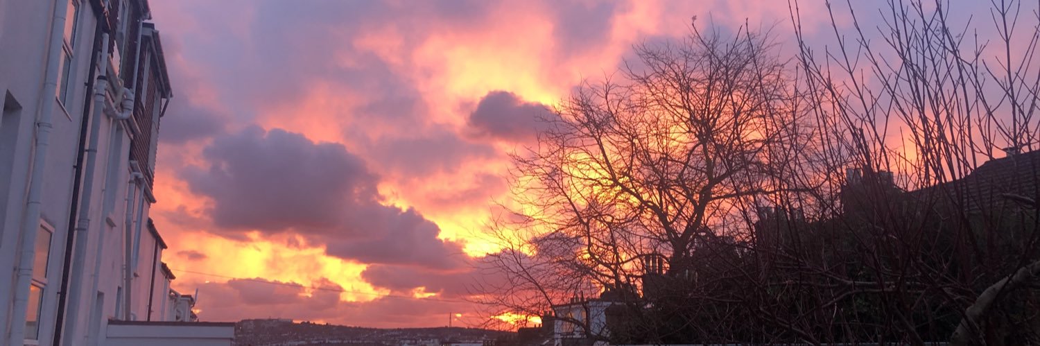 Sarah Naomi Lee banner