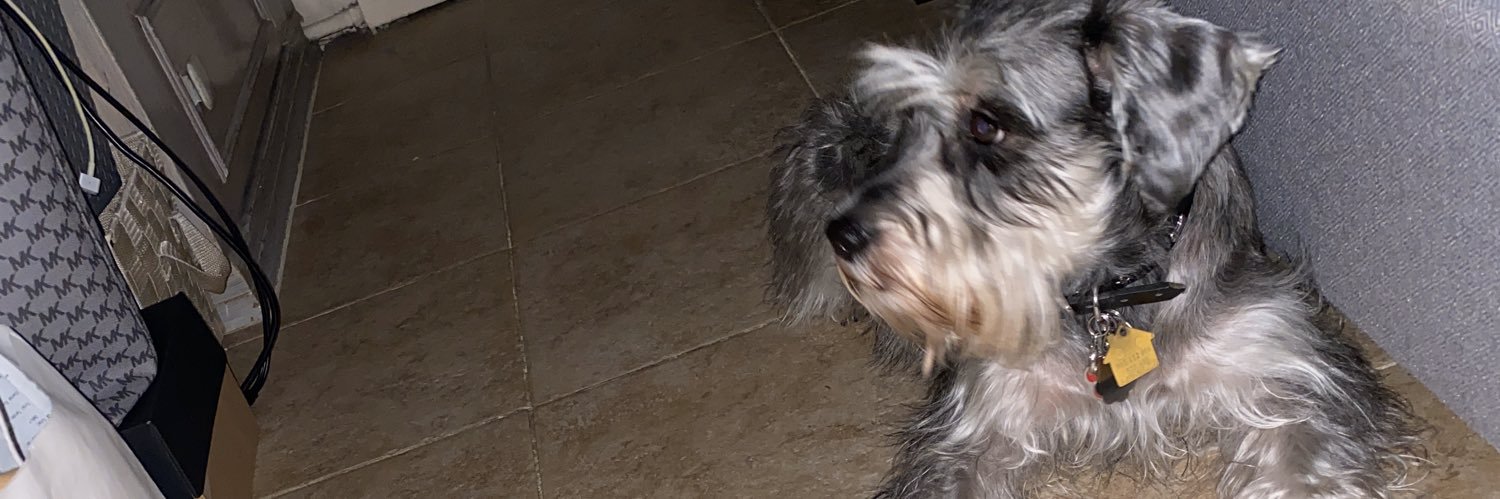 briixxo's profile banner image