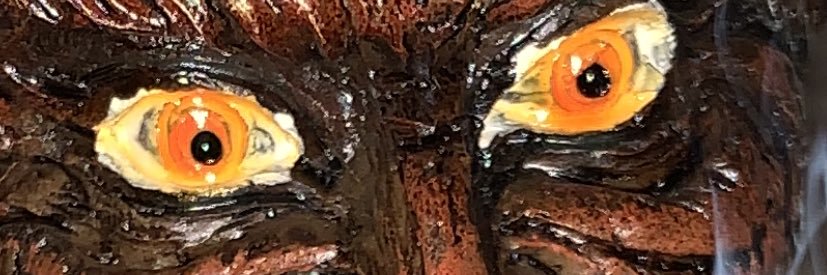not_rainus's profile banner image