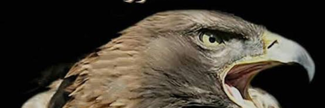 nabilmokhtar2's profile banner image