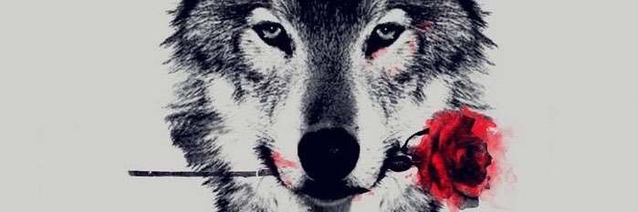 mavifs's profile banner image