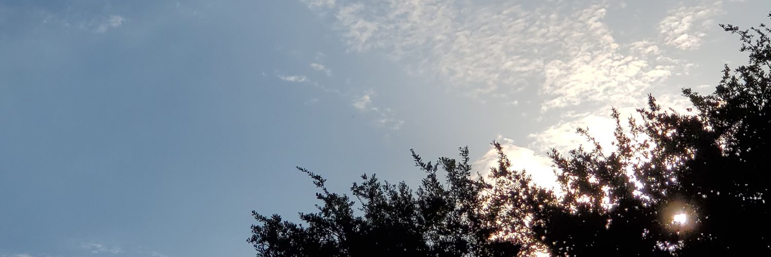 1oflight's profile banner image