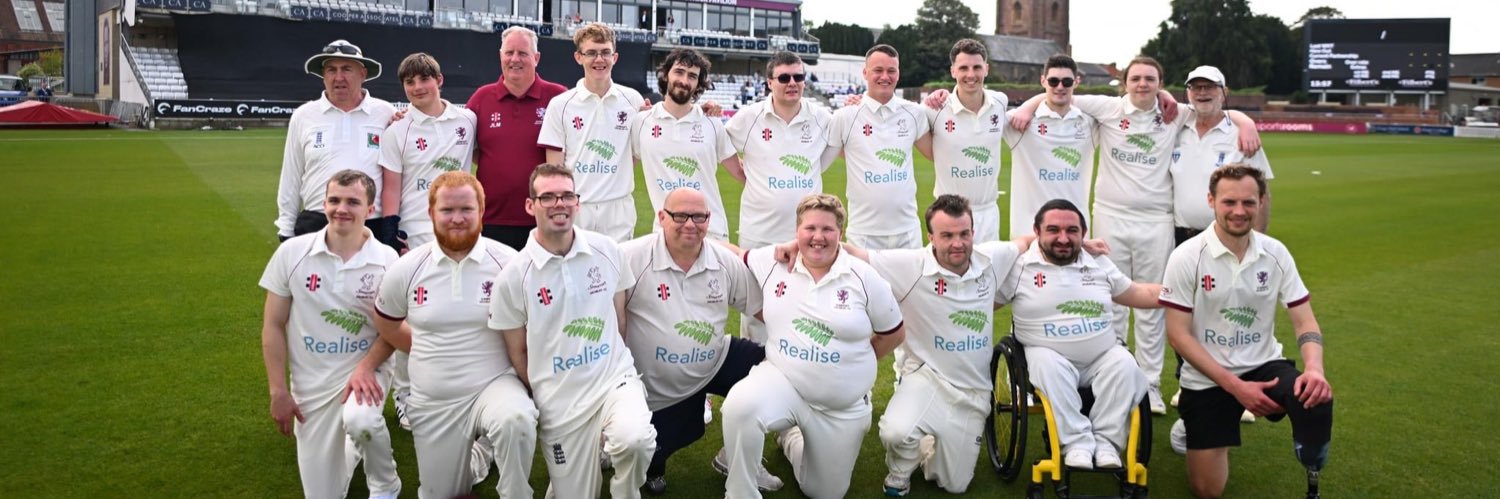 SomersetDisabledCC banner