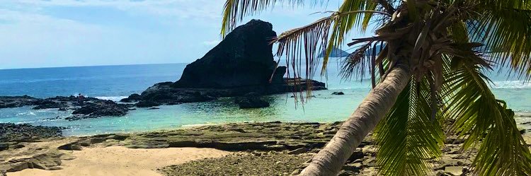 Bay_Grif's profile banner image