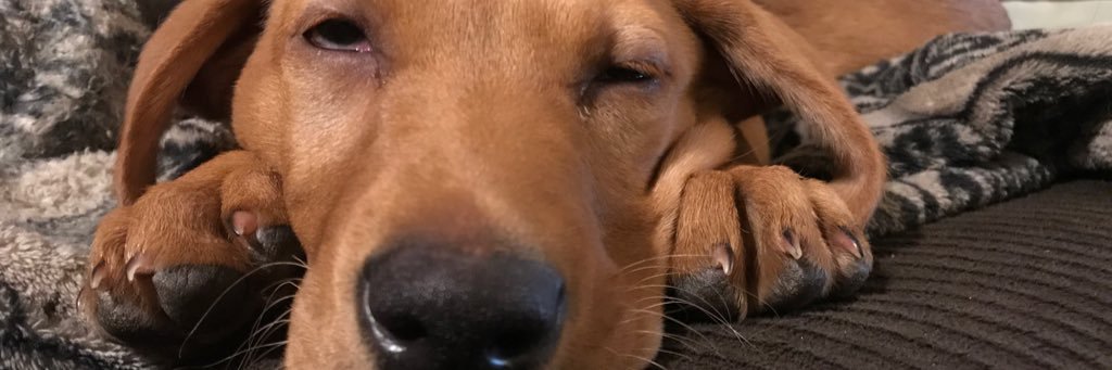 Car_laud8's profile banner image