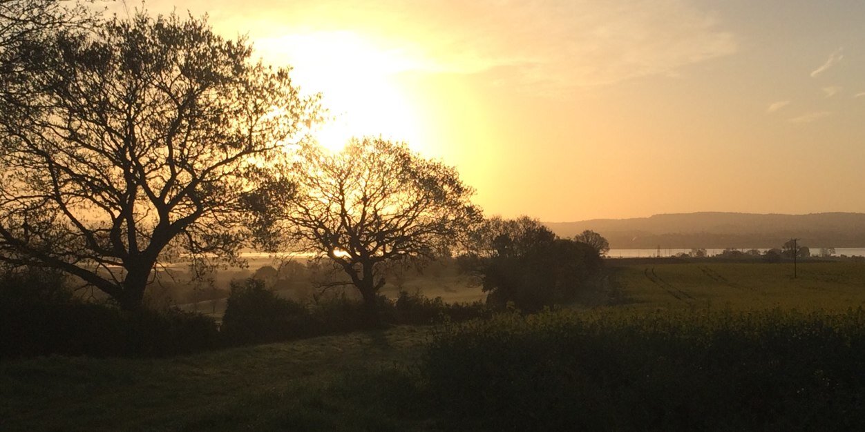 SallyGregory1's profile banner image