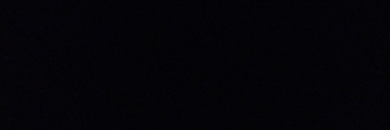 rominalrico's profile banner image