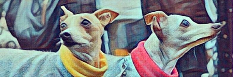 neghi_nirah's profile banner image