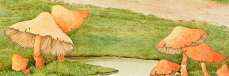 ametxsta's profile banner image