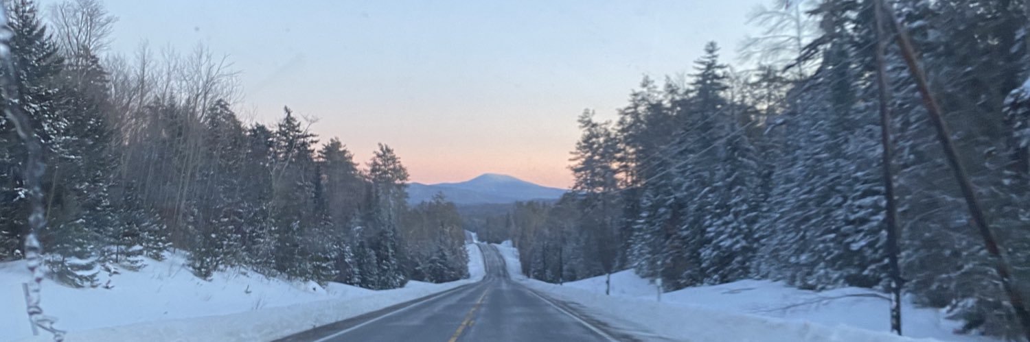 MorrealeStephen's profile banner image
