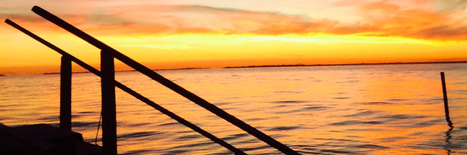 NickVirga's profile banner image