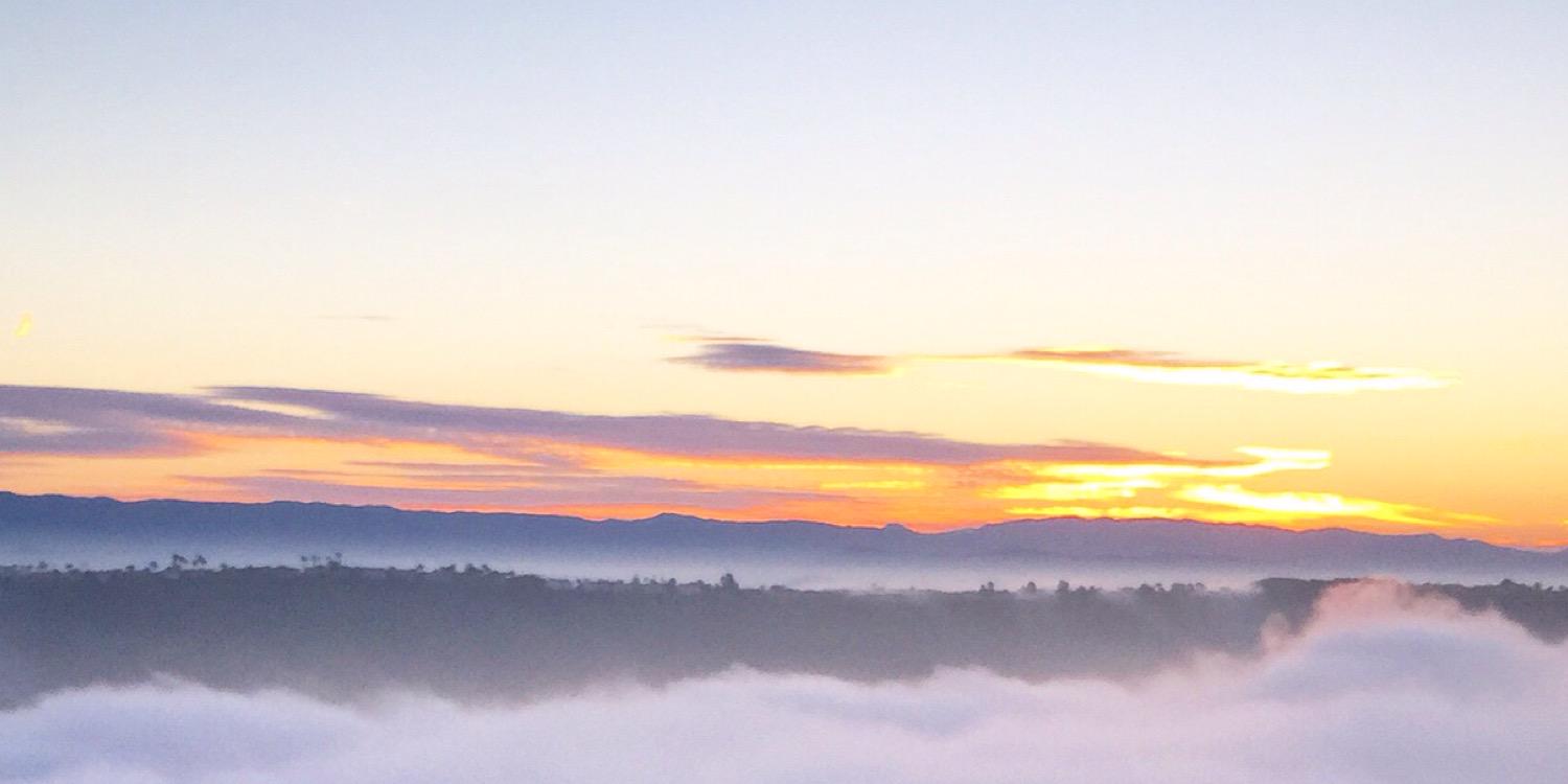 BayBrookRealty's profile banner image