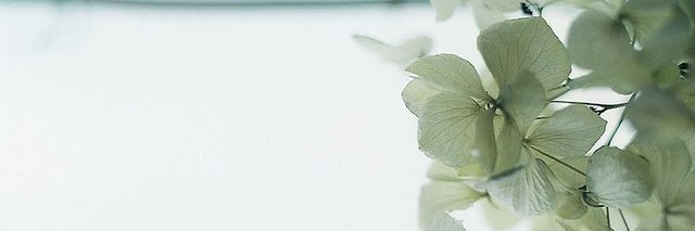 rimebleu's profile banner image