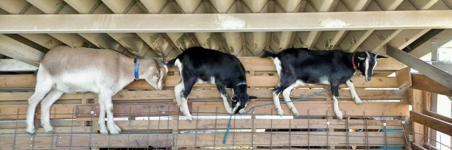 武井 隆 （1日1.5食&週8サウナ） banner