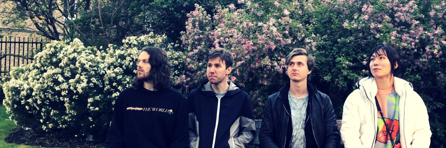 Juniper Nights banner