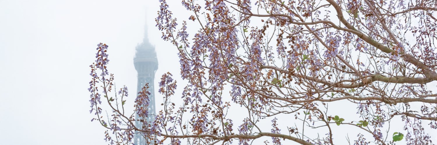 stephdsandoval's profile banner image
