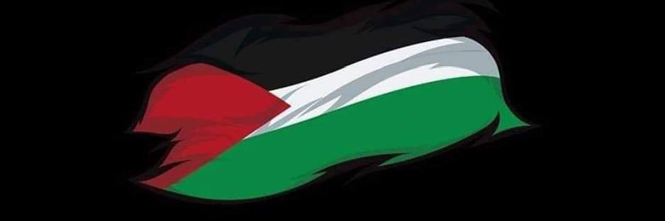 aly___nabil's profile banner image